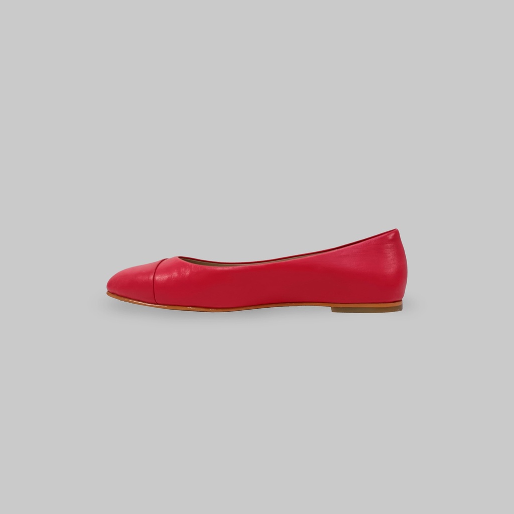 Rommy- coral