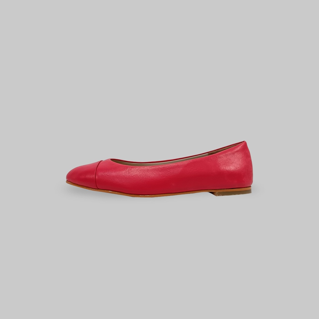 Rommy- coral