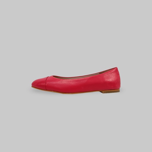 Rommy- coral