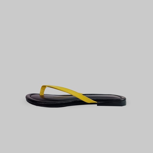 Sandy - amarillo